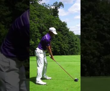 Taylor Moore Golf Swing #zachriddlegolf #taylormoore #valsparchampionship #pgatour #golfer #golf