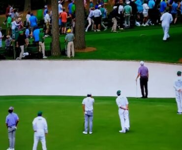 The Masters-Two pine trees fell near patrons at the 17th tee
