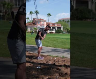 Pitching from Pine Straw #shorts #golf #chipping #pitching #wedgematrix #jordangolf