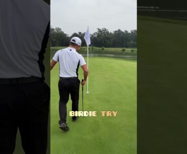 ホールインワン！？#ゴルフ #shorts