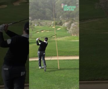 [제18회 DB손해보험 프로미 오픈] 1라운드 20조 티샷(허인회, 황중곤, 문도엽)