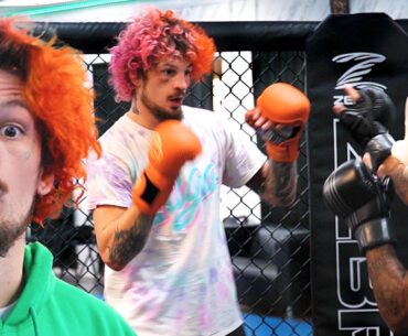 Suga Sean NEWEST SPARRING 2023 | Tattoos & Suga Factory