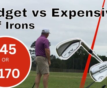 Budget vs Expensive Golf Clubs-Irons!!
