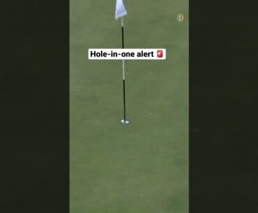 Daniel van Tonder makes a hole-in-one at the Stella Artois Players Championship