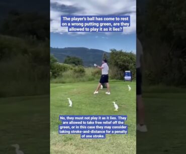 Ball Comes to Rest on Wrong Putting Green - Golf Rules Explained