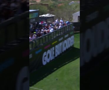 How did this shot stay in play?!? #golf #livgolf #sports #amazing