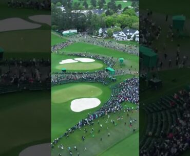 A place for every patron | The Masters #shorts