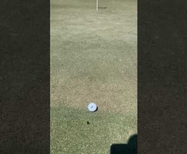 IT HAPPENED AGAIN AT THE SAME GOLF CLUB IN FLORIDA DURING A KORN FERRY EVENT!!  CAN'T MAKE THIS UP!!