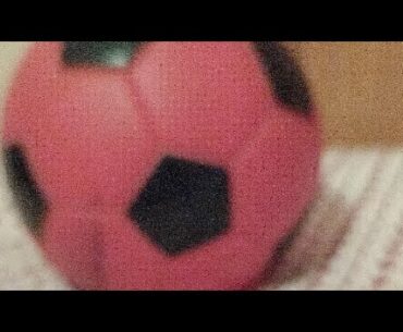 Progol 2173. revancha En vivo