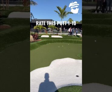 Have you ever been Mini Golfing? #caddysplash #minigolf