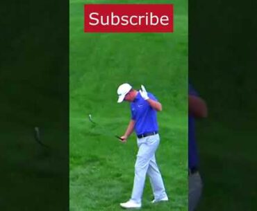Chip in the Hole Tom Hoge  Eagle | TTV4 Sports|