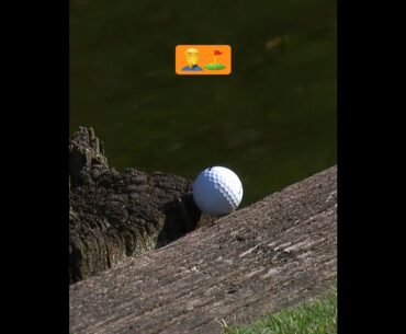 How lucky is that ? ⛳️🔥#golf #shorts