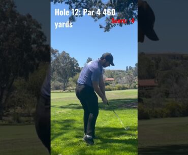 My best escape shot this year?! Hole 12 best ball series.   #golf