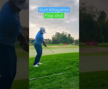 Kurt Kitayama AMAZING Flop Shot❗