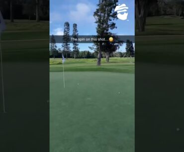 Clean Grooves = More Spin 😳 #caddysplash #golfswing #golfswing