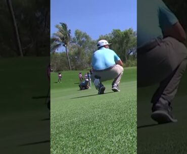 Bees Swarm at the Mexican Open and Eventually Plays Through