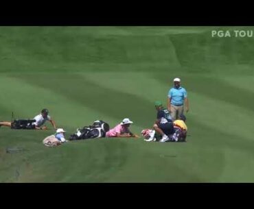 Swarm Of Bees Attacks PGA Golfer Erik Van Rooyen And TV Cover
