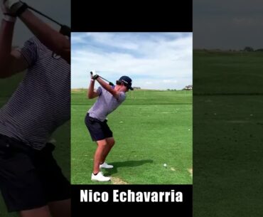 ニコ・エチャバリア Nico Echavarria
