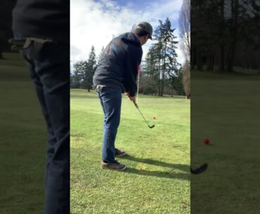 Always trust the Texas Wedge 😅 #golf #golfswing #funny #amazing #putt #putter #shorts #short #fyp