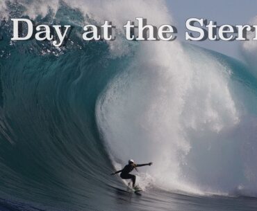 a Day at the Stern
