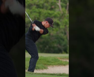 Stanford Men's Golf: 2023 Pac-12 Champions