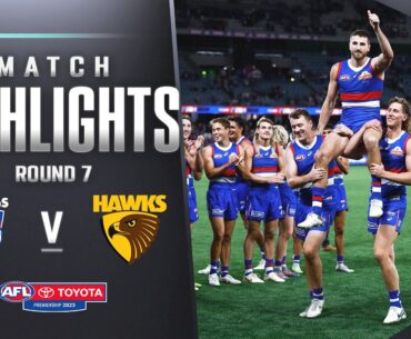 Dogs salute in skipper's milestone match