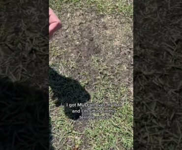 Stupid Golf Rules