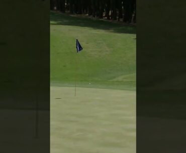 [골프존 오픈 in 제주] 3라운드 25조 배용준 9홀 2번째 샷