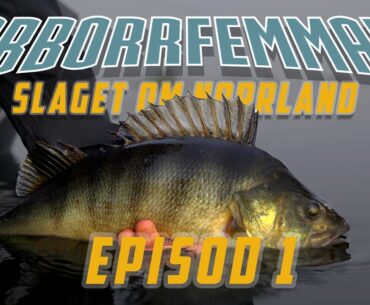 ABBORRFEMMAN 2023 EPISOD 1 [4K]
