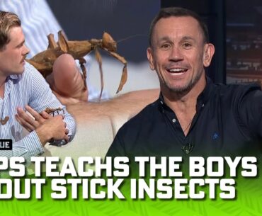 "I sound like David Attenborough there" | Matty Johns