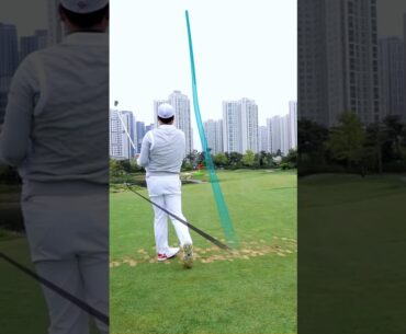 "물에만 안 빠뜨리려고요" 🤣 | DP월드투어 코리아챔피언십