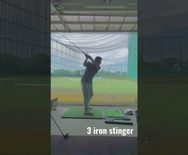 3 iron w/ high tee swing normal speed  rev94 -200y (Titleist Forged 680) #3iron #titleist #stinger
