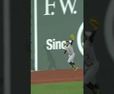 Ji Hwan Bae makes an INCREDIBLE catch against the Green Monster!!