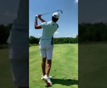 Brandon Wu﻿ ブランドン・ウー
