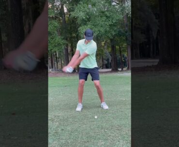 Hybrid Swing