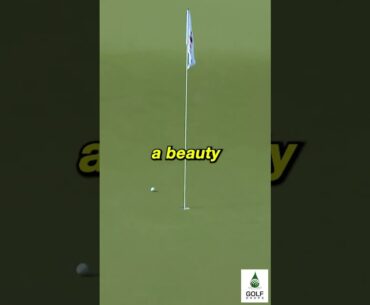 You won't believe how close Sahith Reddy Theegala came to an ace at Wells Fargo Golf #Shorts