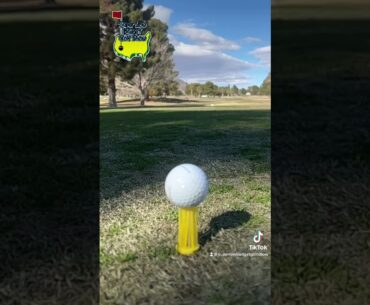 Brush T for the W. Super Low Budget Golf Show Approved #golf #fyp #golfing #golfclubs