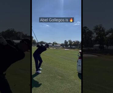Abel Gallegos 💣💥 MONSTER Fairway Wood 🔥 #golf #shorts