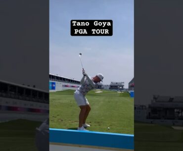 TANO GOYA 🇦🇷⭐️ PGA Tour 🔥 Rising 📈