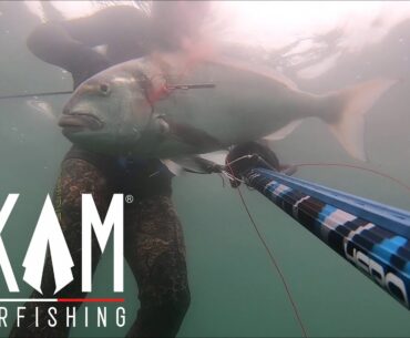 Chasse sous marine dorades royales dans le Morbihan, Belle île, Hoedic, Houat par AKAM.