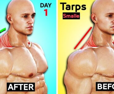 7 BEST EXERCISE TRAPS WORKOUT 🔥