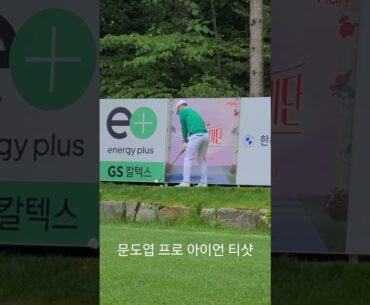 GS칼텍스 매경오픈 #문도엽 프로 아이언 티샷 #shorts #golf