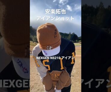 安楽拓也のアイアンショット#shorts #スイング #ゴルフスイング