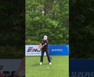 임성재프로 드라이버스윙 정면 #드라이버스윙 #임성재프로 #임성재