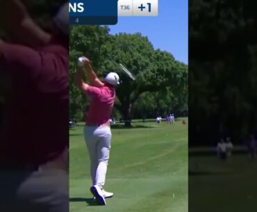 Sam Burns Driver Golf Swing (SLOW MOTION) #golf #shorts