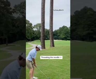Send this to a friend who’s definitely hitting a tree 😅