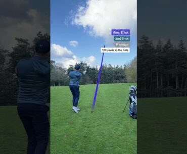 Can I Beat a EUROPEAN TOUR PRO?! W/@AlexElliottGolf