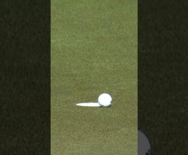 Will the PUTTS drop? 🤷