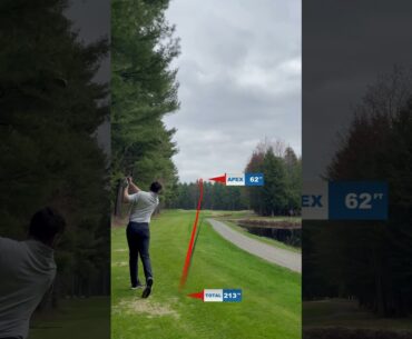 ⛳️ Le "STINGER" -Un coup rendu si populaire par Tiger Woods !🏌️‍♂️#golf #stingers#TigerWoods#shorts