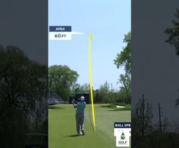 Unbelievable Near Eagle: Ryan Fox's Epic Shot Leaves Viewers in Awe #Shorts